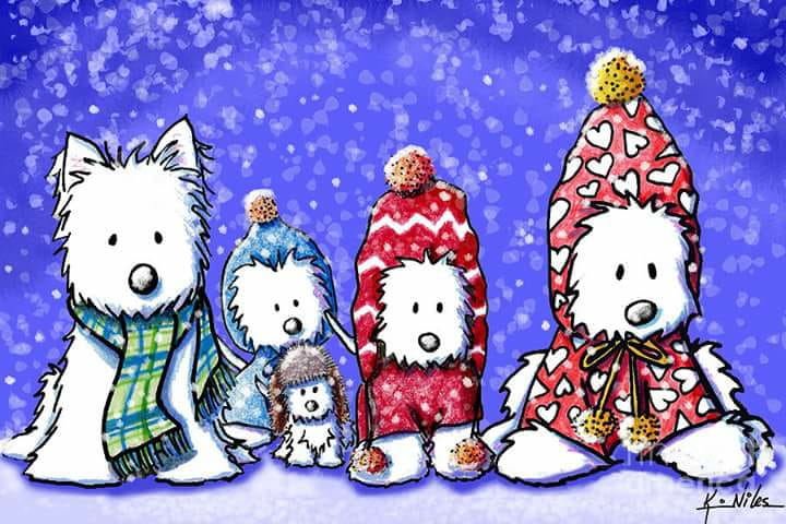 Sunday Conversation Club 14 December 2025